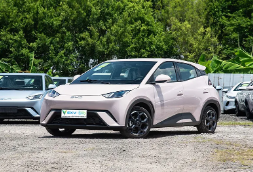 ما هي سيارات الركاب التي تناسب احتياجات عملك؟